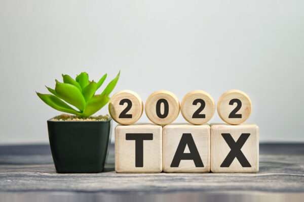 2022 tax - financial concept. Wooden cubes and flower in a pot.